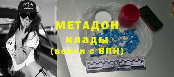 прущие грибы Михайлов