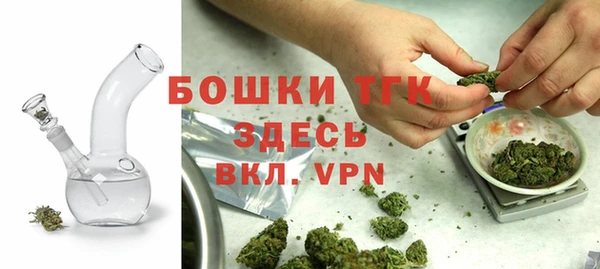 прущие грибы Михайлов