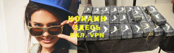 дживик Надым