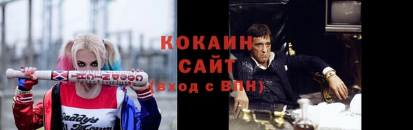 дживик Надым