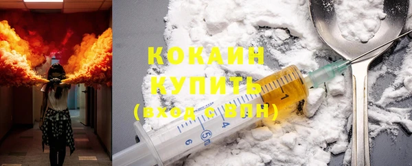 дживик Надым