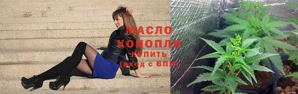 дживик Надым
