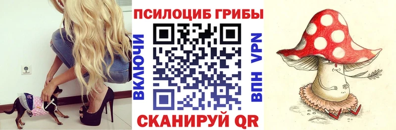 сайты даркнета наркотические препараты  Ивдель  Псилоцибиновые грибы прущие грибы 